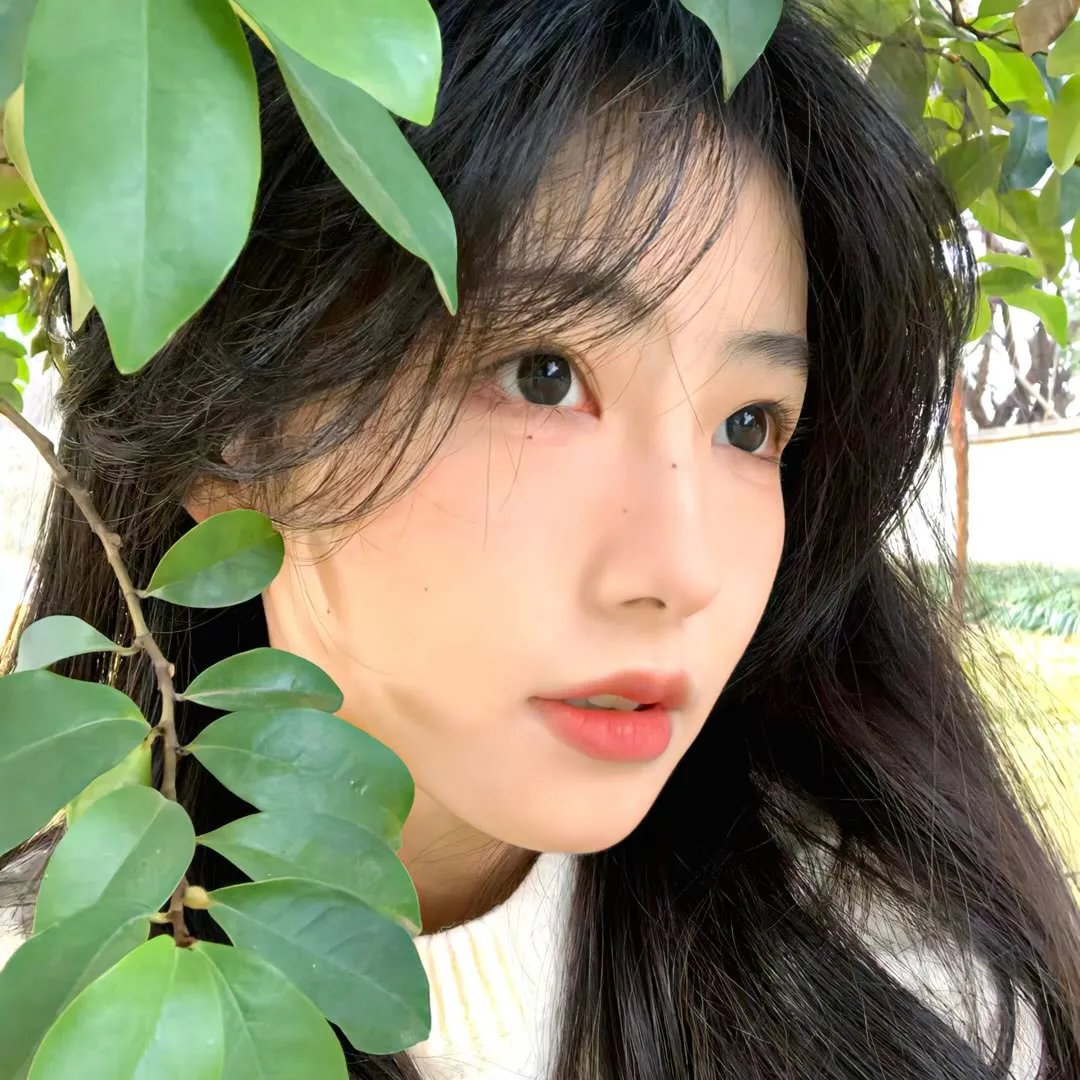 珀尔